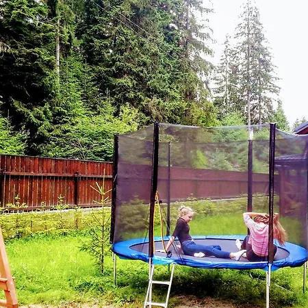 Деревянный коттедж Bober House Микуличин